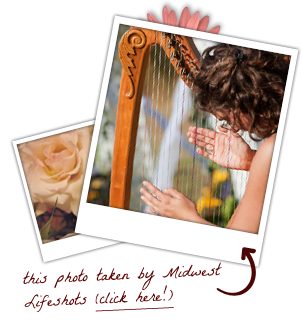 stephanie claussen playing harp at a wedding stephanie claussen playing harp at a wedding