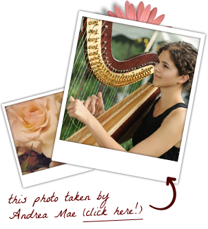 stephanie claussen playing harp at a wedding stephanie claussen playing harp at a wedding